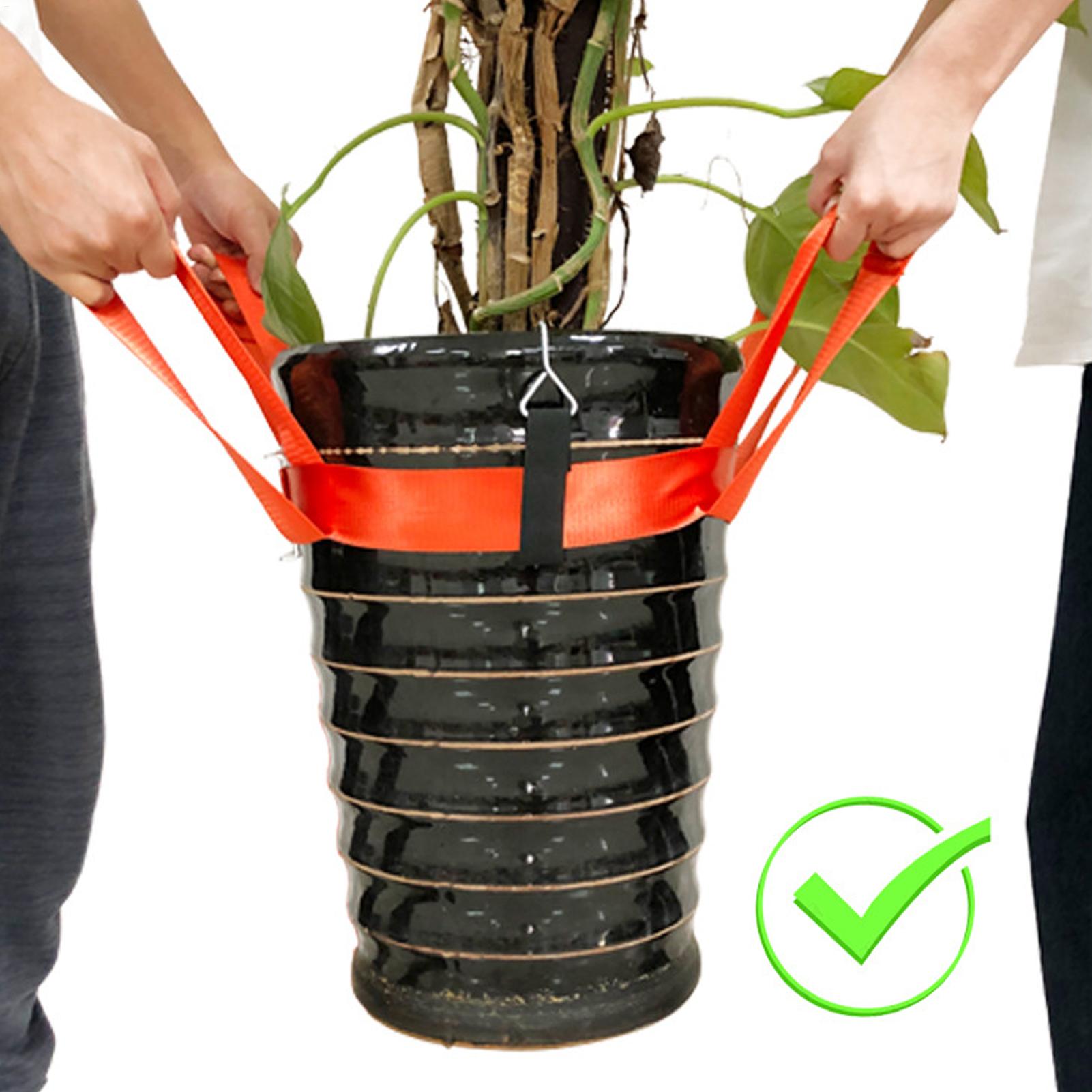 Landscaping Lifting Strap Pott - Lifting Belt ulasan dan harga