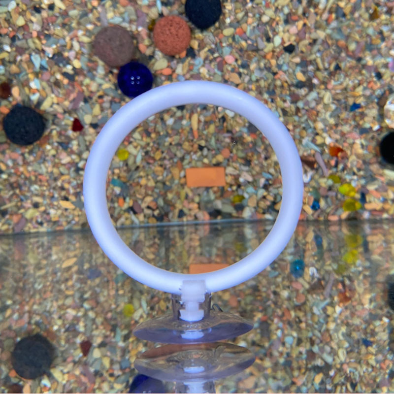 1pcs Plastic Fish Tank Aquariu - Gymnastic Ring ulasan dan harga